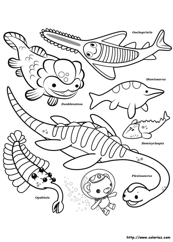 Coloriage Octonauts En Ligne Coloriage Octonauts Choisis Tes Coloriages Octonauts Sur Coloriez