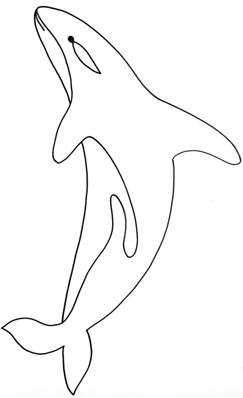 Coloriage orque Epaulard Coloriage D Un épaulard Tªte   Modeler