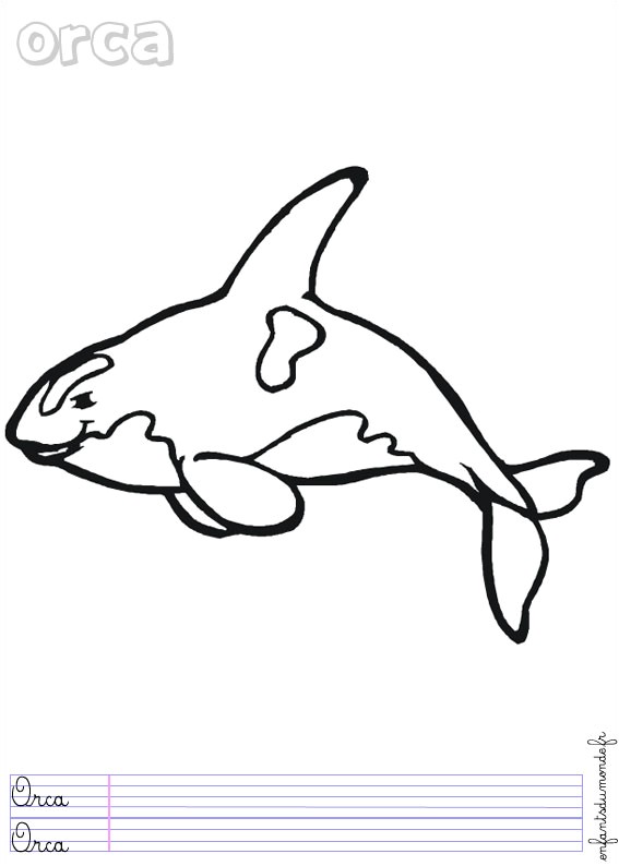 Coloriage orque Et Baleine 114 Dessins De Coloriage orque   Imprimer