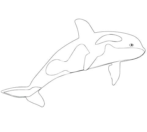 Coloriage orque Et Baleine Coloriage orque Imprimer Coloriage orque En Ligne – Mobilorszagfo Coloriage orque Et Baleine Coloriage orque Imprimer Coloriage orque En Ligne – Mobilorszagfo
