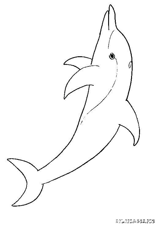 Coloriage orque Willy Coloriage orque Et Dauphin 1001 Animaux Coloriage orque Et Dauphin