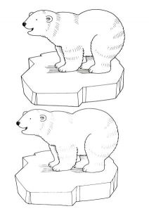 Coloriage Ours Banquise 21 Best Ours Polaire Images On Pinterest