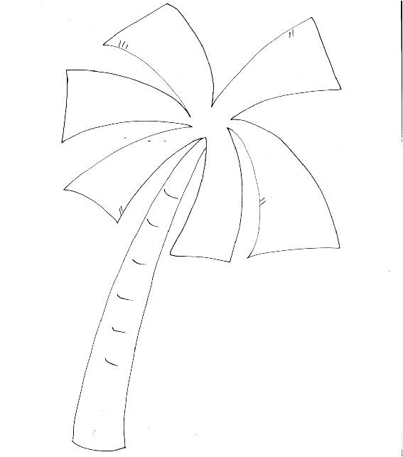 Coloriage Palmier A Imprimer Gratuit Coloriage Palmier