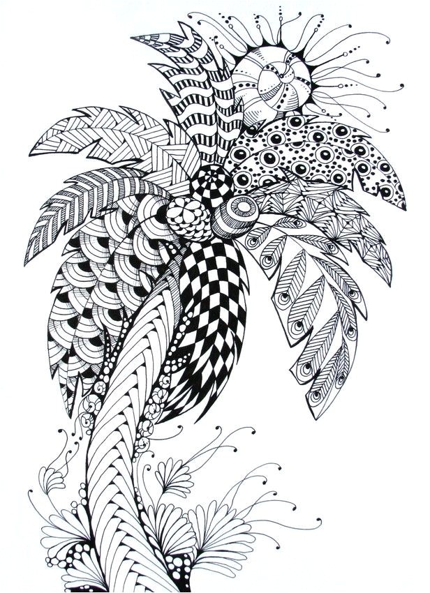 Coloriage Palmier A Imprimer Gratuit Palmier … Zen T S & More Pinterest