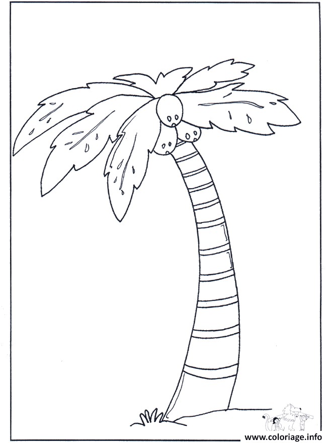 Coloriage Palmier Cocotier Coloriage Palmier Cocotier Jecolorie