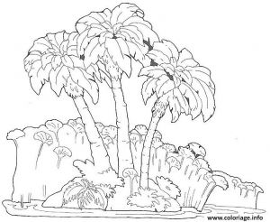 Coloriage Palmier Dattier Coloriage Palmiers Jecolorie