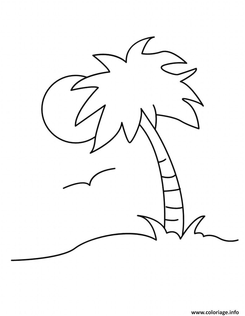 Coloriage Palmier Facile Coloriage Palmier Simple Facile Jecolorie