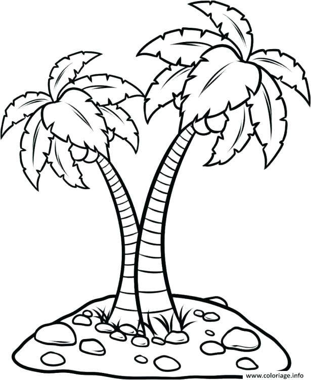 Coloriage Palmier Facile Index Coloriages 417 G Coloriage Palmier G Coloriage Feuille De