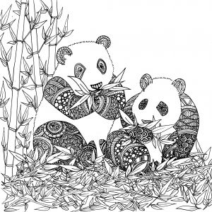 Coloriage Panda Roux Coloriage De Animaux Panda   Imprimer Par Chocobo Artherapie