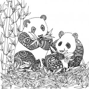 Coloriage Panda Roux Coloriage De Animaux Panda Imprimer Par Chocobo Artherapie