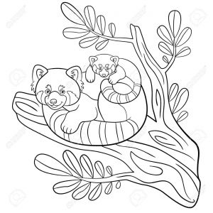 Coloriage Panda Roux Coloring Pages Mother Red Panda Sits the Tree Branch with