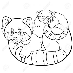 Coloriage Panda Roux Coloring Pages Mother Red Panda with Her Cute Baby Royalty Free