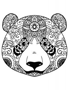 Coloriage Panda Roux Dessin A Imprimer De Panda Gallery