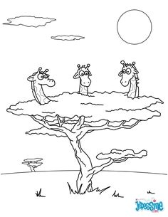 Coloriage Panthere Rose à Imprimer 84 Best Coloriages Animaux Sauvages Images On Pinterest