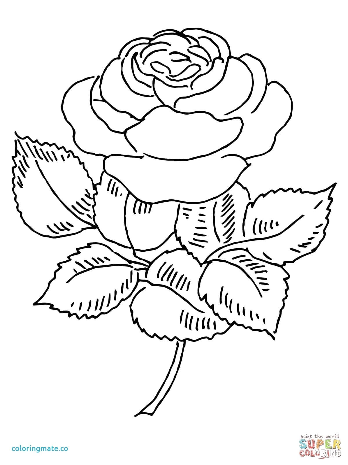 Coloriage Panthere Rose à Imprimer Lovely Coloriage   Imprimer Dragon Ball Z