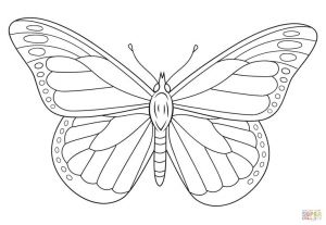Coloriage Papillon à Imprimer Maternelle 28 Best butterfly Printables Images On Pinterest