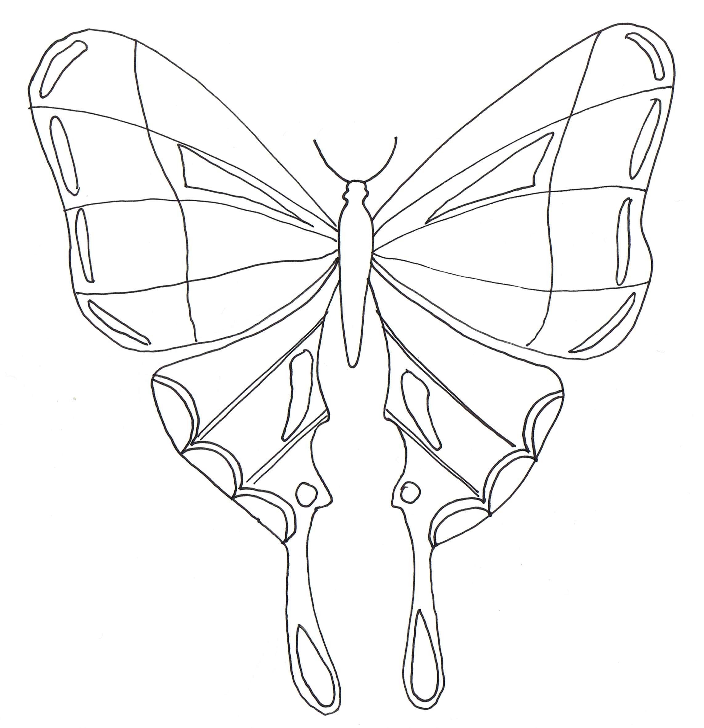 Coloriage Papillon à Imprimer Maternelle Coloriage Simple D 39 Un Papillon Coloriage Papillon T Te Dessin