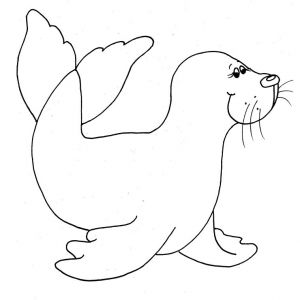 Coloriage Phoque Banquise 20 Dessins De Coloriage Phoque Banquise   Imprimer