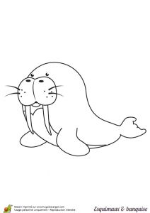 Coloriage Phoque Banquise Coloriage Esquimaux Et Banquise Phoque Sur Hugolescargot