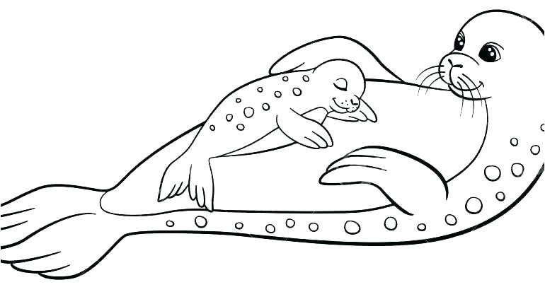 Coloriage Phoque Banquise Coloriage Phoque Coloriage orque Bacbac Phoque Et Maman En Dorque