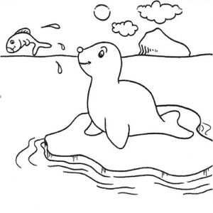 Coloriage Phoque Banquise Le Phoque En Coloriage Imprimer Magicmaman