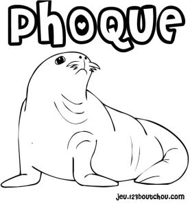 Coloriage Phoque Banquise Phoque 10 Animaux – Coloriages Imprimer