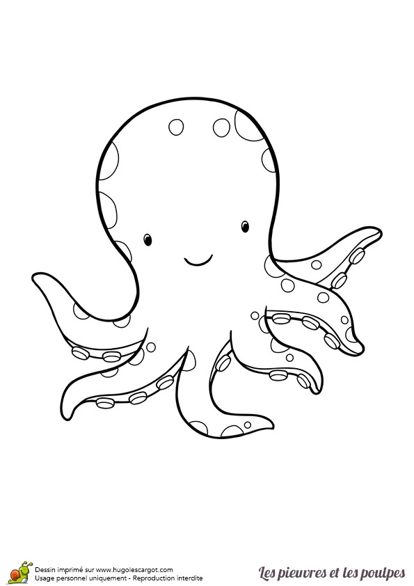 Coloriage Pieuvre Maternelle Cette Sympathique Pieuvre Rondouillarde Est   Colorier