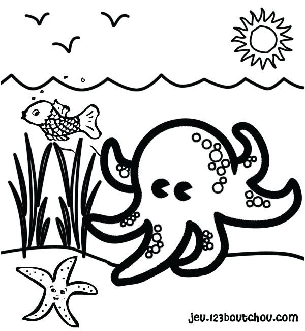 Coloriage Pieuvre Maternelle Coloriages Coloriage Dun Poulpe Frhellokids Dune Pieuvre