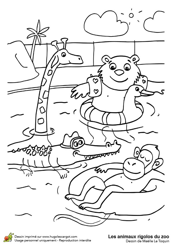 Coloriage Piscine Cp Dessin   Colorier Des Animaux Rigolos   La Piscine