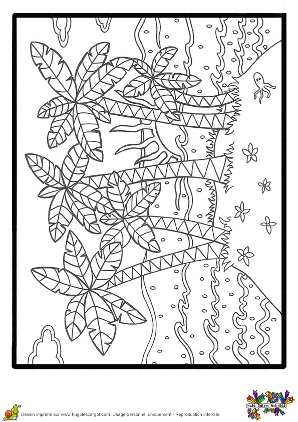 Coloriage Plage Palmier Coloriage Palmier Sur La Plage