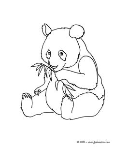 Coloriage Pour tout Petit En Ligne 84 Best Coloriages Animaux Sauvages Images On Pinterest