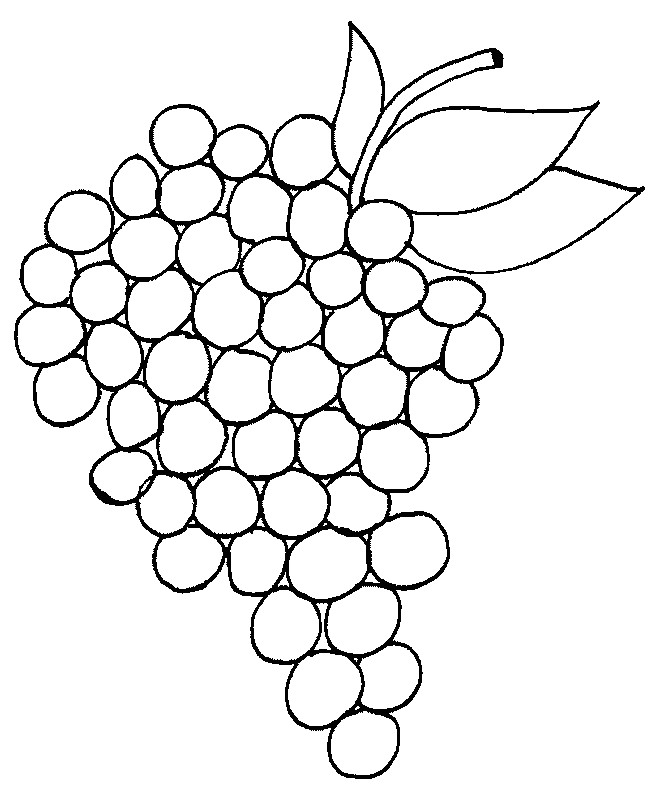 Coloriage Raisin à Imprimer Coloriage orange Fruit Az Coloriage