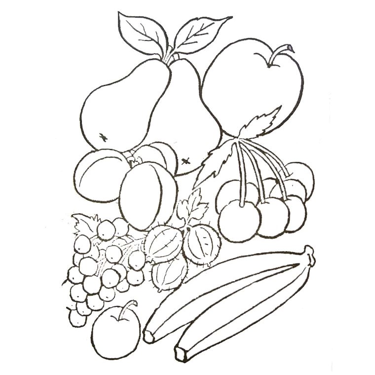 Coloriage Raisin A Imprimer Gratuit De Fruits A Imprimer Az Coloriage