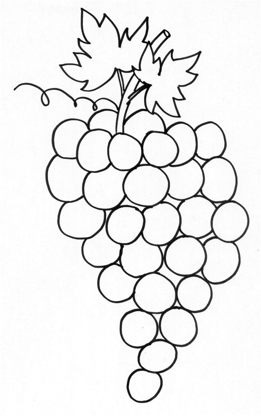 Coloriage Raisin Maternelle Coloriage D Une Grappe De Raisin Tªte   Modeler