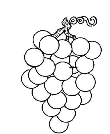 Coloriage Raisin Maternelle Coloriages De Fruits Fruits Legumes D A Coloriage Fruits Automne