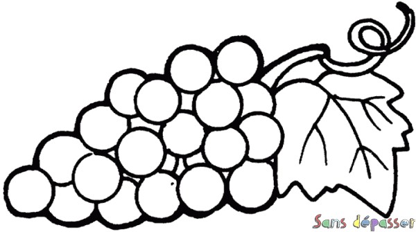 Coloriage Raisin Vigne Coloriage Raisin Et Feuille De Vigne Sans Dépasser