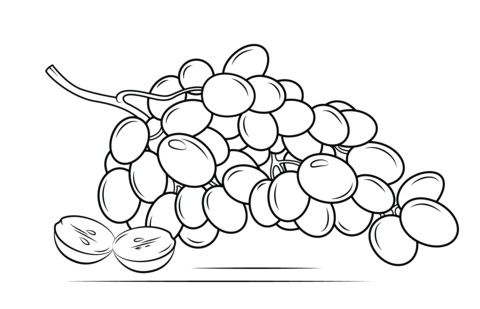 Coloriage Raisin Vigne Coloriage Raisins
