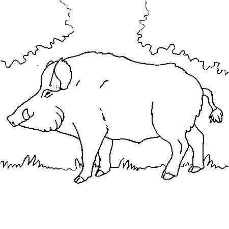 Coloriage Sanglier A Imprimer Gratuit Sélection De Coloriage Sanglier   Imprimer Sur Laguerche Page 2