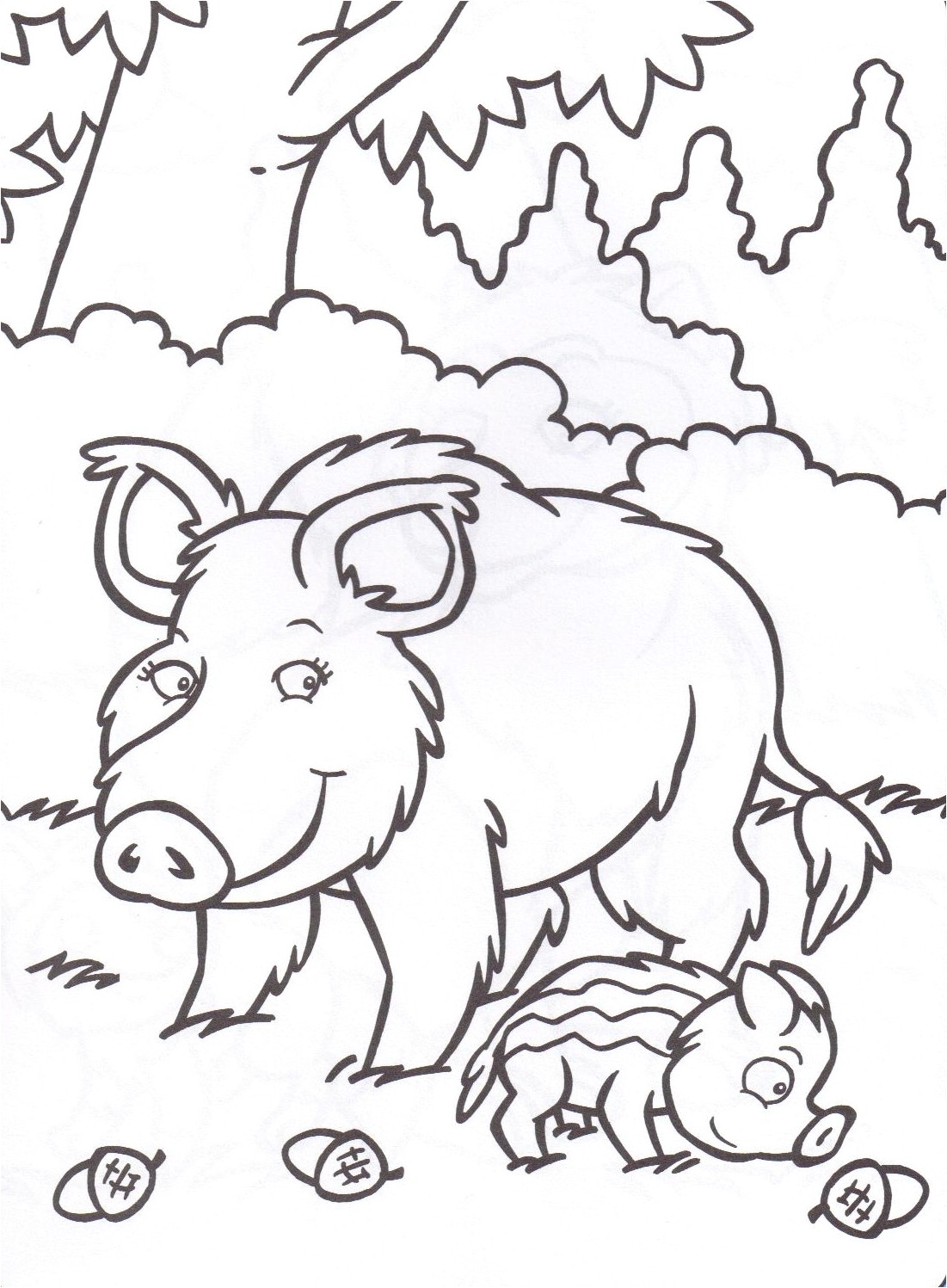 Coloriage Sanglier Gratuit Animaux Sauvages
