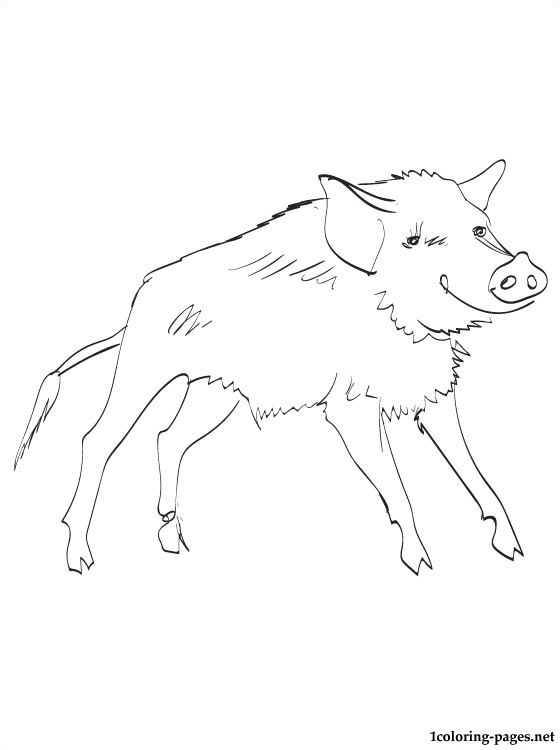 Coloriage Sanglier Gratuit Sélection De Coloriage Sanglier   Imprimer Sur Laguerche Page 2