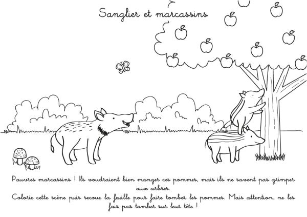 Coloriage Sanglier Marcassins Coloriage   Imprimer Sangliers Et Marcassins