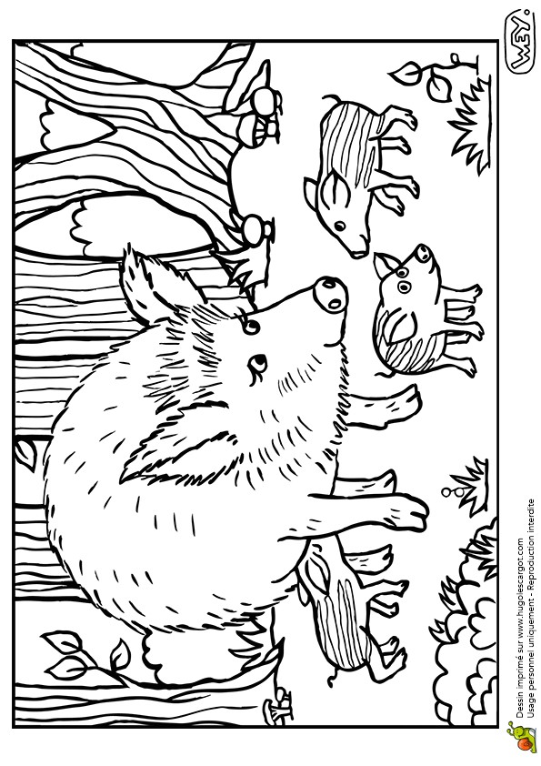 Coloriage Sanglier Marcassins Dessin   Colorier D Une Maman Laie Et De Ses Petits Marcassins
