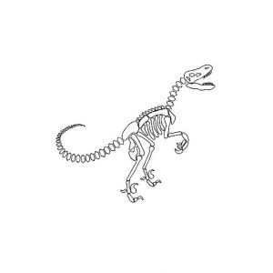 Coloriage Squelette Tyrannosaure 78 Best Prehistoria Images On Pinterest