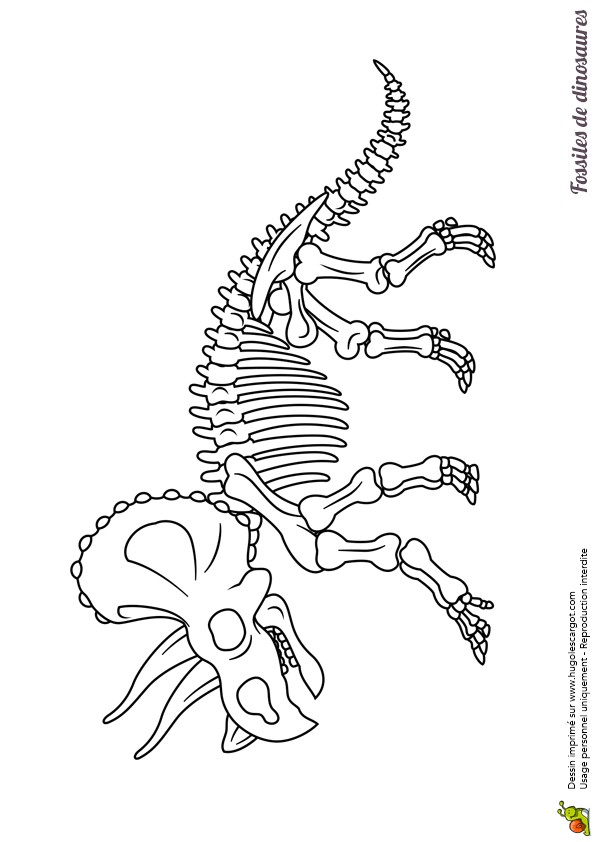 Coloriage Squelette Tyrannosaure Coloriage De Fossiles De Dinosaures Squelette De Triceraptor