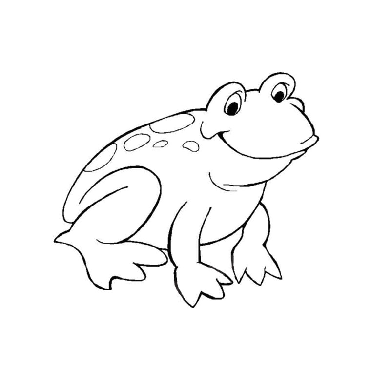 Coloriage toad Chat Dessins Gratuits   Colorier Coloriage Grenouille   Imprimer
