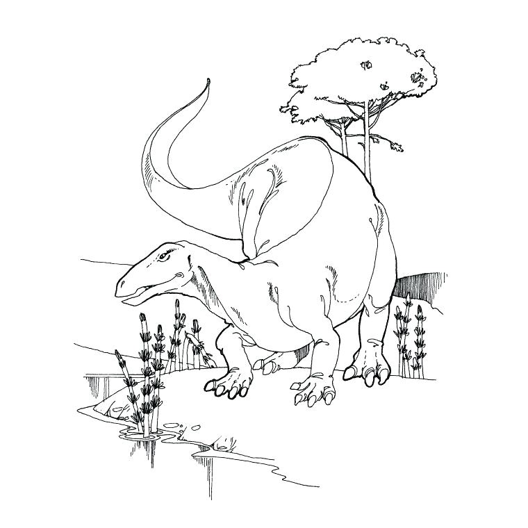 Coloriage Tyrannosaure Rex Imprimer Animaux Coloriage Dinosaure A Imprimer Coloriage Bacbac Dinosaure A