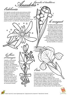 Coloriage Violette Fleur 14 Best Coloriages Porte Bonheur Images On Pinterest