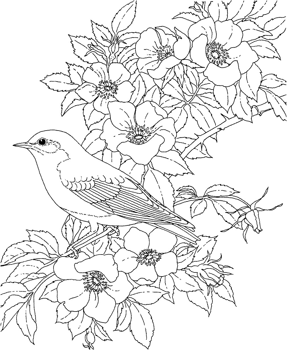 Coloriage Violette Fleur Coloriage Pour Adulte New York … ÑÐ¸ÑÑÐ½ÐºÐ¸ Pinterest