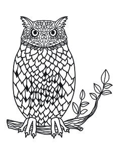 Coloriages Adultes à Imprimer Animaux 46 Best Coloriages De Hiboux Pour Adulte Owl Adult Coloring Pages