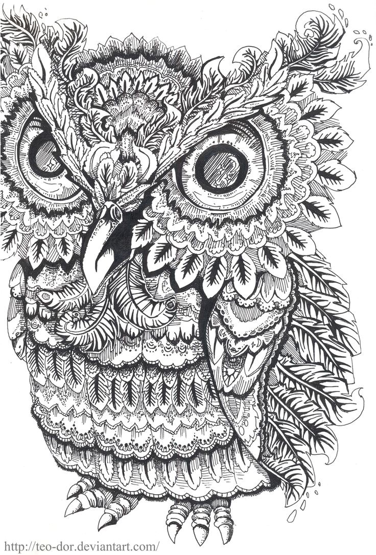 Coloriages Adultes à Imprimer Animaux Les 7356 Meilleures Images Du Tableau Coloriages Sur Pinterest